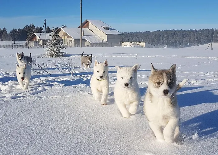 Vent_du_nord Lejlighed *